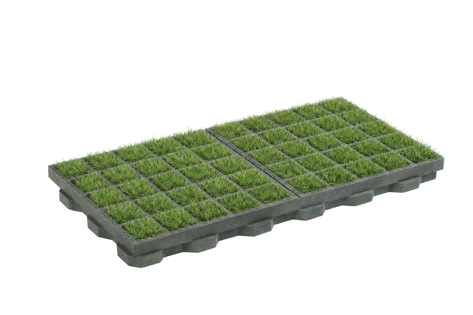 Hydrograwel – modułowa ekokrata z trawą